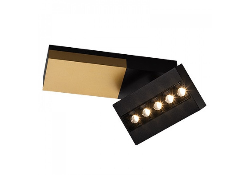 Focus cold black/gold/black