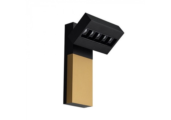 Focus cold black/gold/black