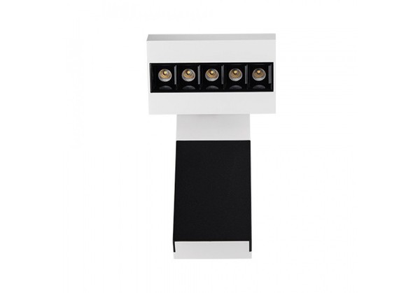 Focus cold white/black/black